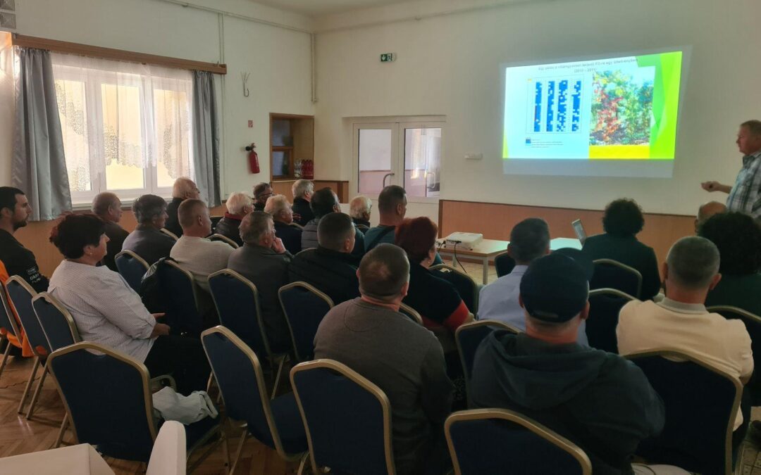 Borászfórum Ebeden: a fitoplazma elleni védekezés gyakorlati lépései